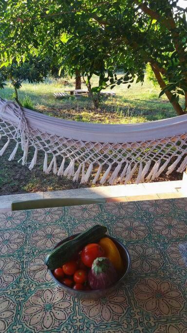 Country House Tra Lago E Mare A Sud Di Roma Villa Campoleone Buitenkant foto