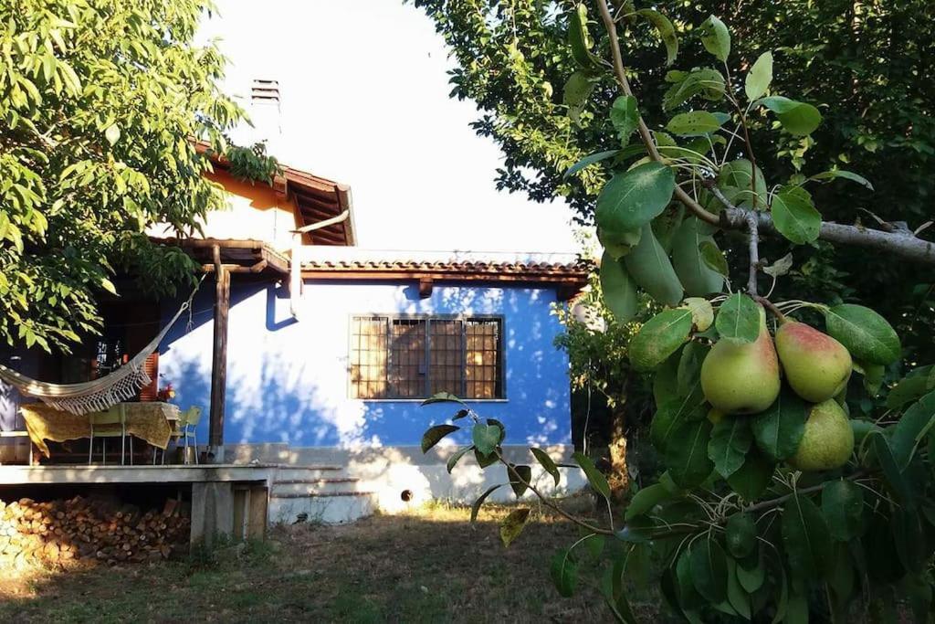 Country House Tra Lago E Mare A Sud Di Roma Villa Campoleone Buitenkant foto